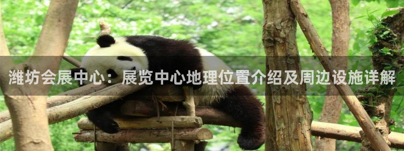 果博注册充值怎么退款：潍坊会展中心：展览中心地理位置介绍及周边设施详解