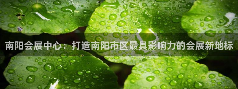 果搏东方客服：南阳会展中心：打造南阳市区