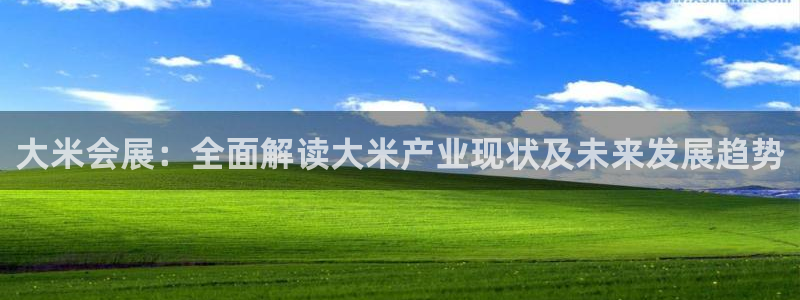 果博公司客服：大米会展：全面解读大米产业