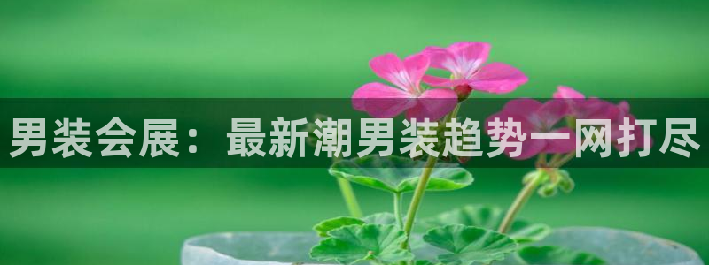 果博注册