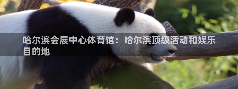 果博官网客服电话号码查询：哈尔滨会展中心