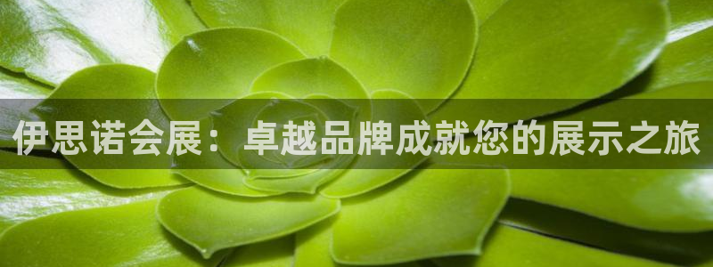 果博公司客服微信公众号