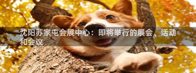 果博公司会员注册账号开户