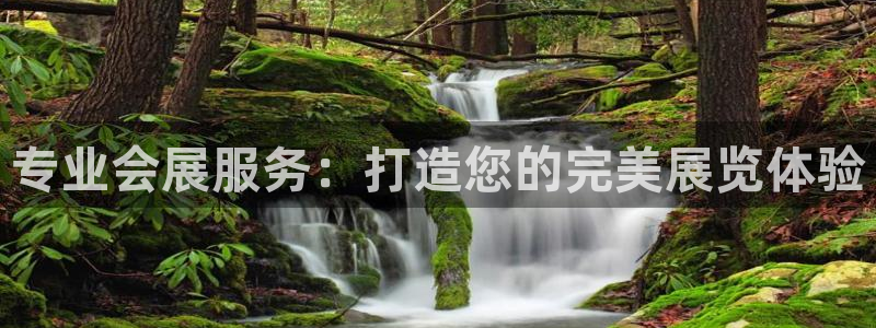 果博管理网