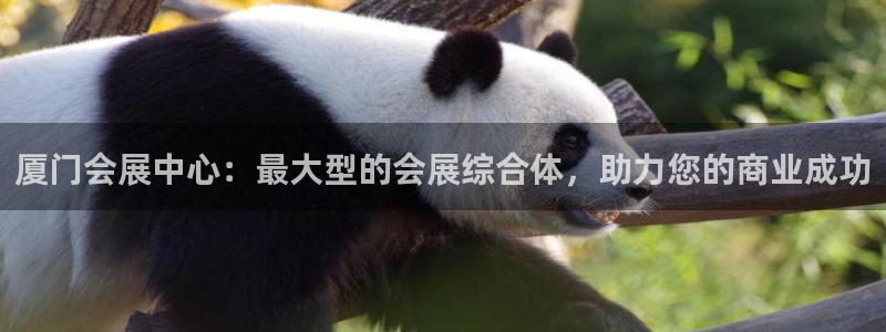 电脑怎么下载果考网