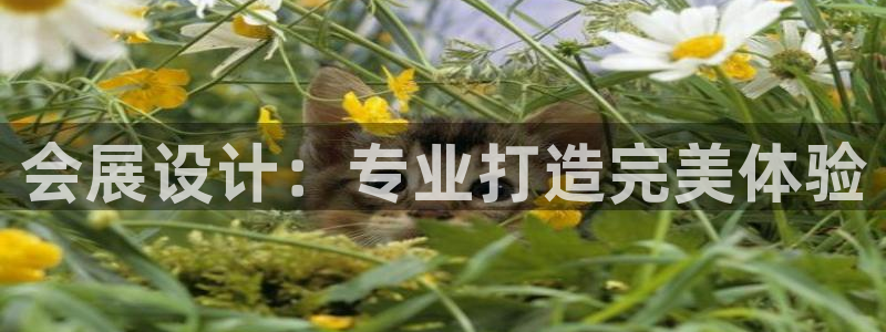 会展设计：专业打造完美体验