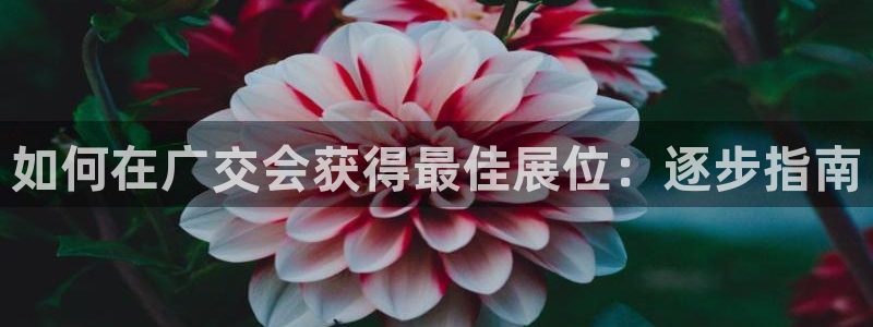 果博平台电话：如何在广交会获得最佳展位：