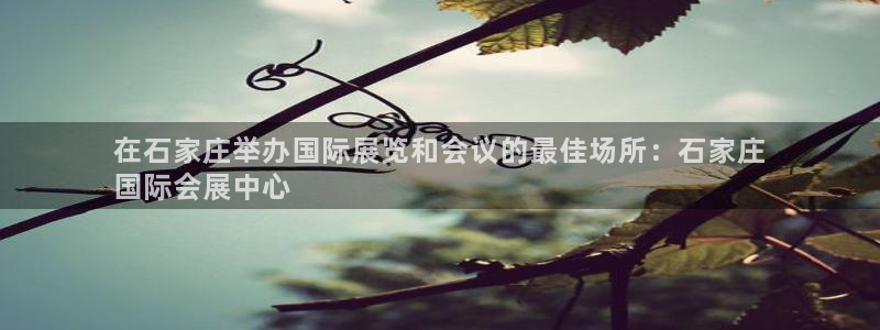 果博公司会员账号开户