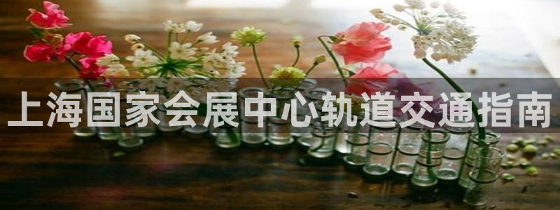 果博gbe168：上海国家会展中心轨道交
