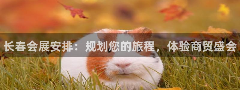 下载果博博东方：长春会展安排：规划您的旅程，体验商贸盛会