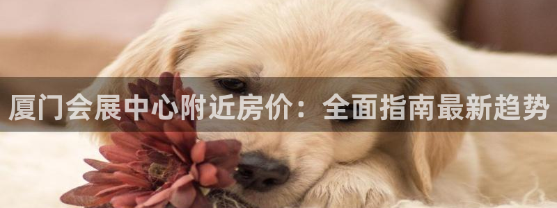 果博代理电话多少：厦门会展中心附近房价：