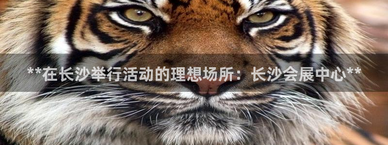果博平台真实吗：**在长沙举行活动的理想