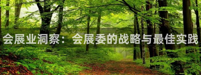 果博手机下载网址：会展业洞察：会展委的战略与最佳实践