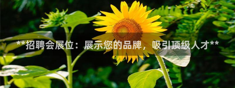 果博注册平台怎么注册不了：**招聘会展位