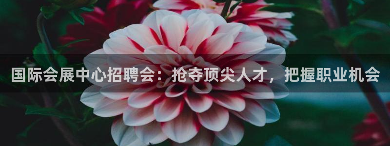 果博注册平台怎么注册的：国际会展中心招聘