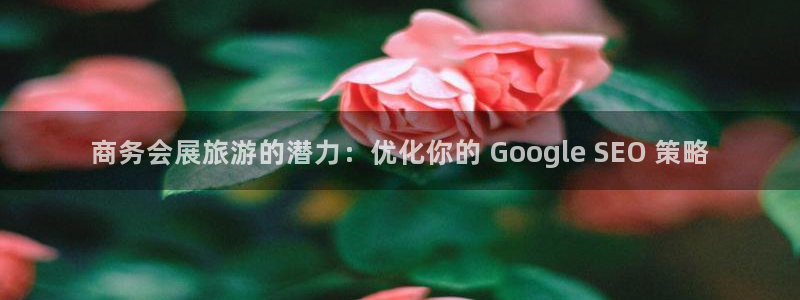 下载果博博东方下载：商务会展旅游的潜力：