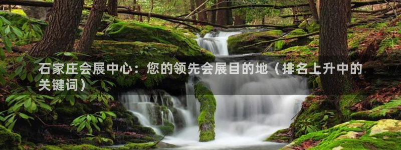果博平台开户电话是多少：石家庄会展中心：