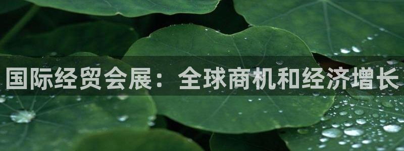 果博代理怎么注册：国际经贸会展：全球商机和经济增长