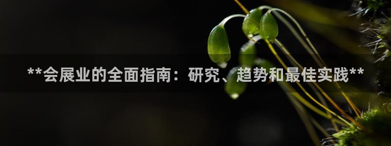 果博注册电话：**会展业的全面指南：研究、趋势和最佳实践**