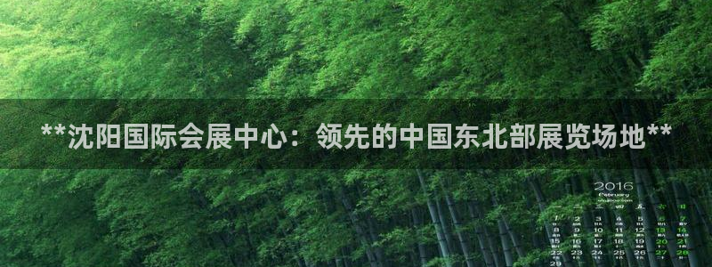 果博平台真实吗安全吗可信吗是真的吗：**沈阳国际会展中心：领先的中国东北部展览场地**