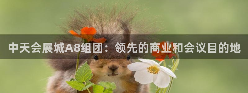果博公司客服电话多少：中天会展城A8组团：领先的商业和会议目的地
