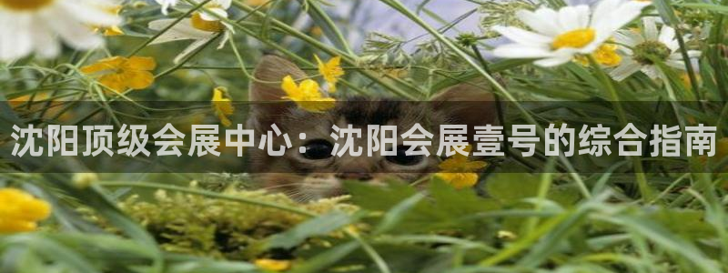 果博公司开户热线