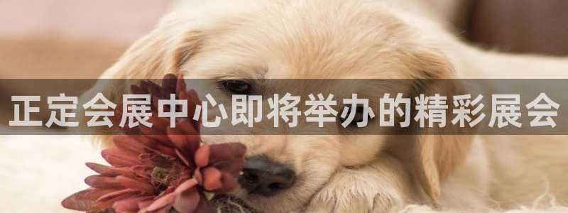 果博环保官网：正定会展中心即将举办的精彩展会