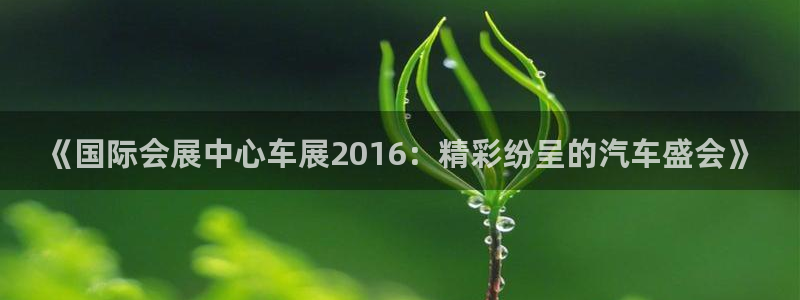 果博平台链接：《国际会展中心车展2016：精彩纷呈的汽车盛会》
