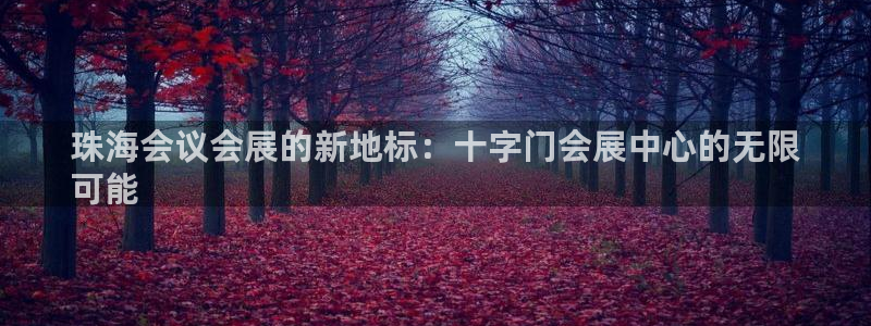 果博平台真实吗安全吗是真的吗：珠海会议会展的新地标：十字门会展中心的无限
可能