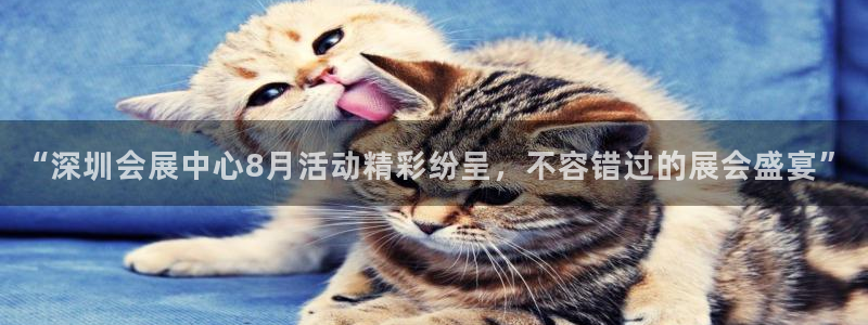 果博手机版下载：“深圳会展中心8月活动精彩纷呈，不容错过的展会盛宴”