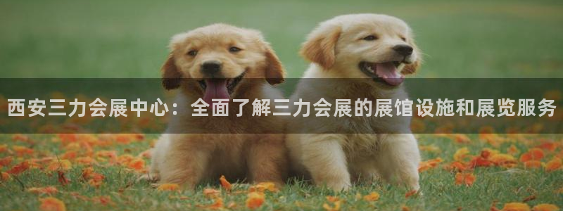 果博公司联系电话：西安三力会展中心：全面了解三力会展的展馆设施和展览服务