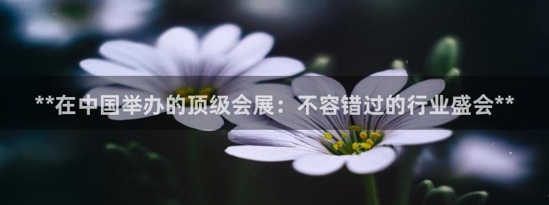 果博怎么注册账号和密码：**在中国举办的顶级会展：不容错过的行业盛会**