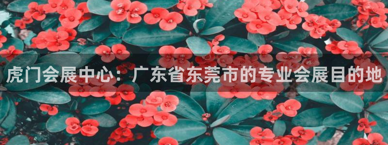 苹果电脑怎么下载博弈大师等软件