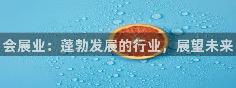 果博公司游戏网址：会展业：蓬勃发展的行业，展望未来