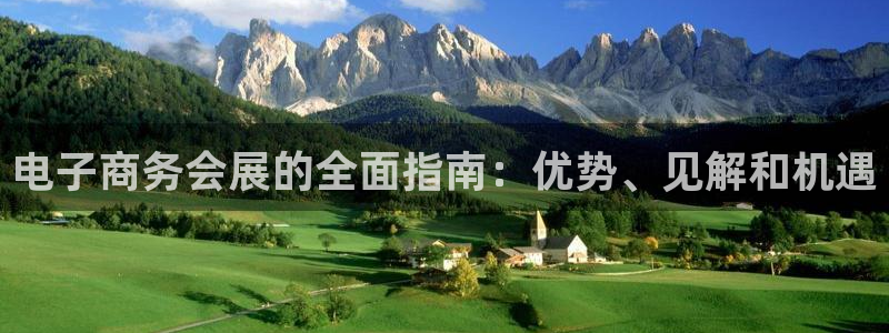 下载果博app：电子商务会展的全面指南：优势、见解和机遇