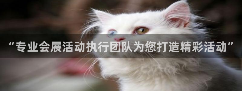 果博官网客服电话号码查询：“专业会展活动执行团队为您打造精彩活动”