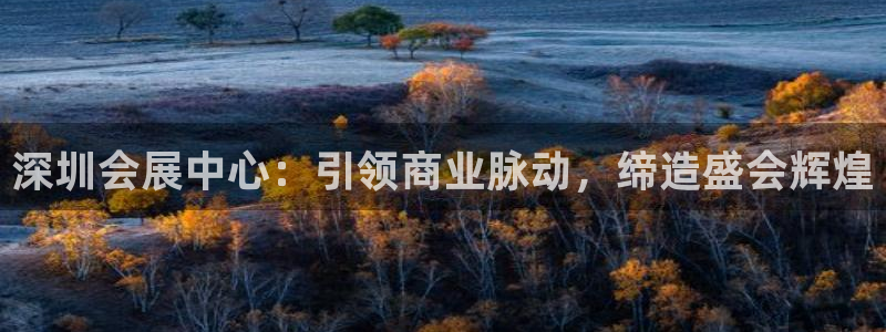 果博公司怎么注册会员：深圳会展中心：引领商业脉动，缔造盛会辉煌