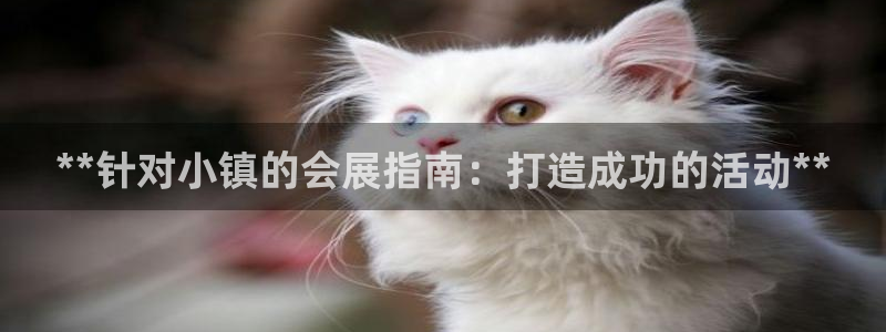 果博平台客服电话：**针对小镇的会展指南：打造成功的活动**