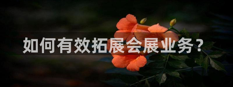 果博平台真实吗知乎：如何有效拓展会展业务