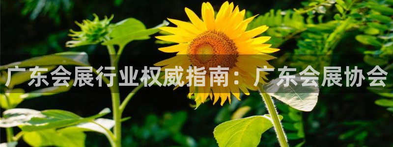 果博公司会员开户：广东会展行业权威指南：广东会展协会