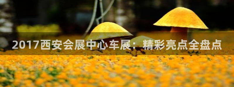 果博平台赖不赖
