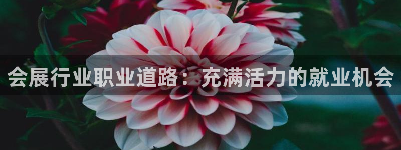 果博注册会员维wckk389