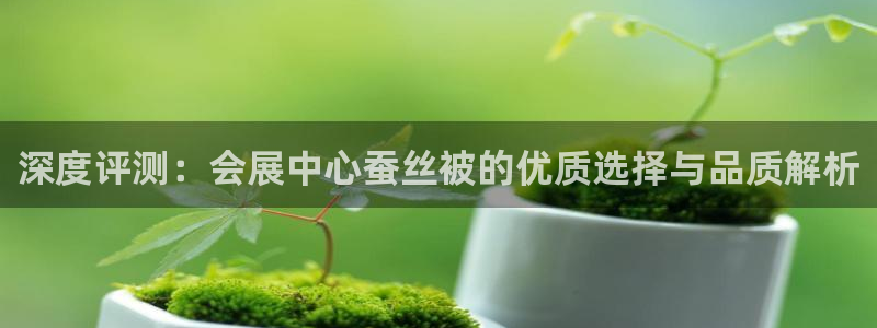 果博公司客服微信