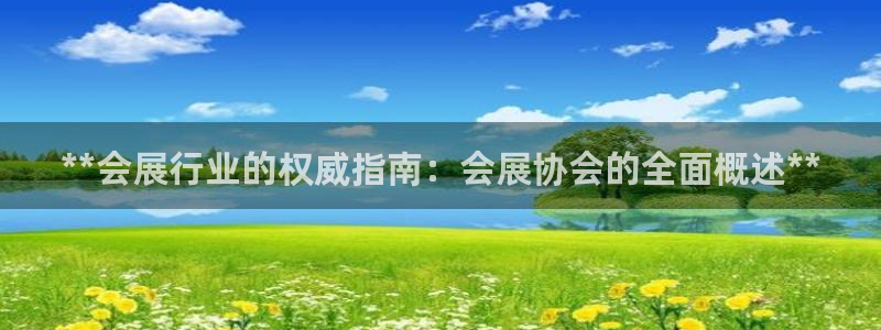 果博公司注册：**会展行业的权威指南：会展协会的全面概述**