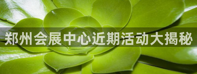 果博官网客服电话号码查询：郑州会展中心近期活动大揭秘