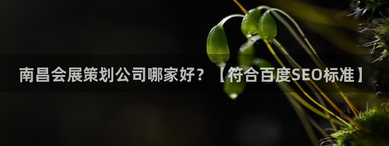 果博平台客服电话