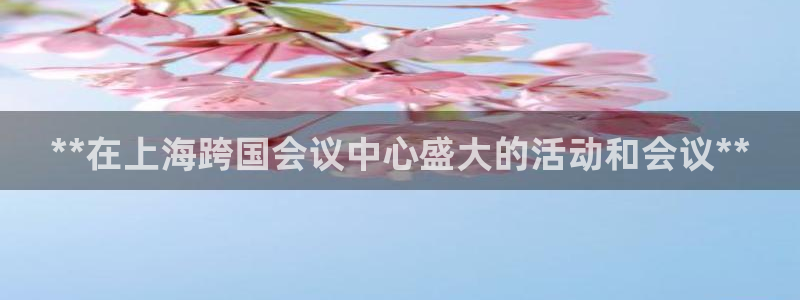 果博公司注册