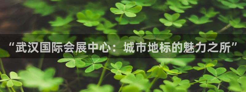 果博注册电话