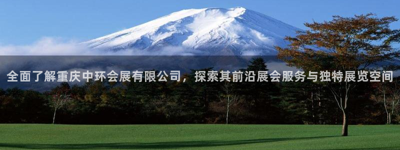 手机怎样下载果博