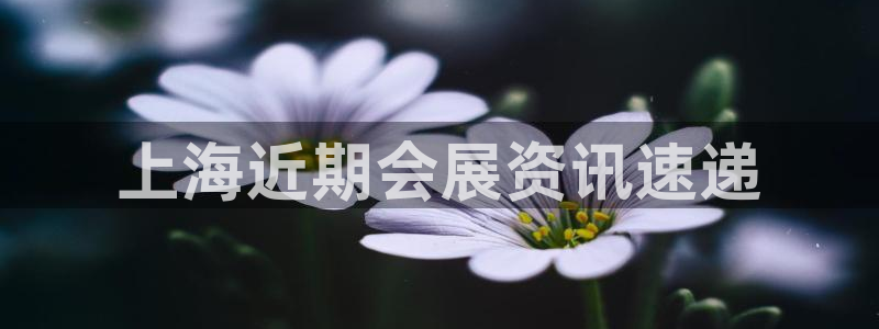 果博代理：上海近期会展资讯速递